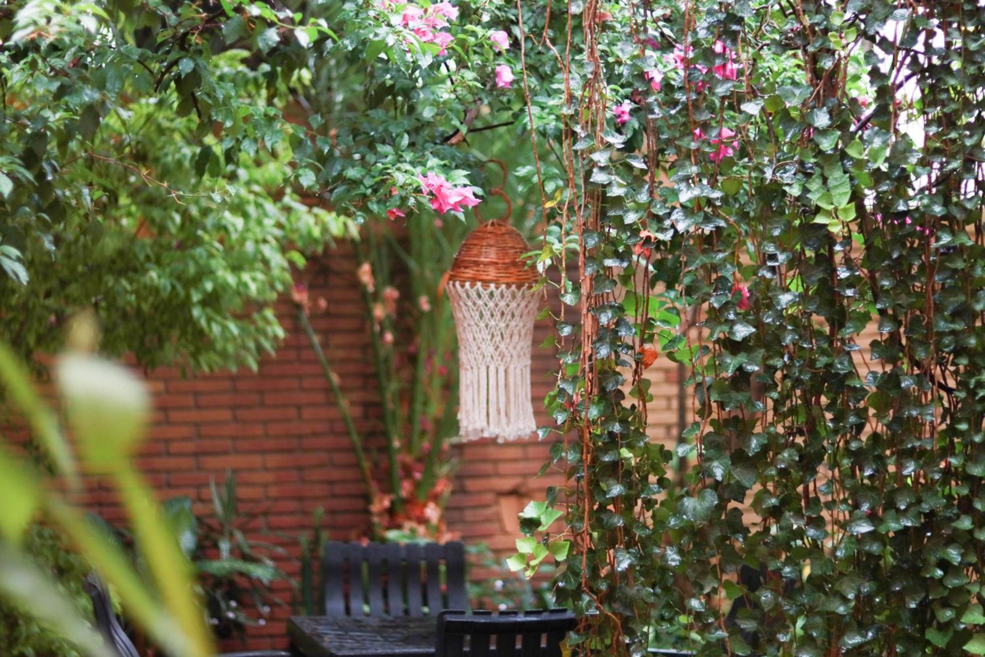Casa Guanab Guest House Oaxaca Kültér fotó