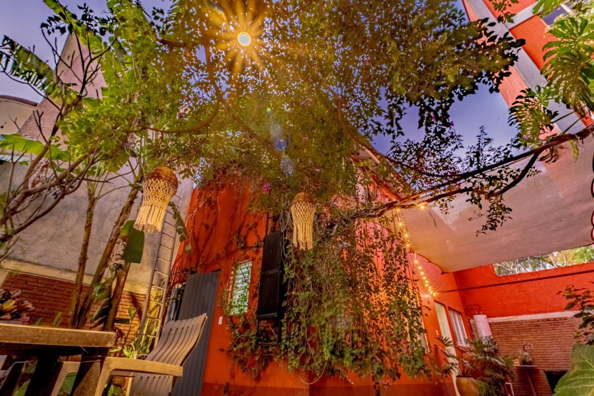 Casa Guanab Guest House Oaxaca Kültér fotó